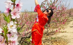 2019久久久高清日本道